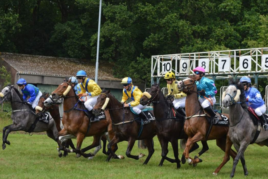 wedden-op-paarden-op-renbaan-Duindigt